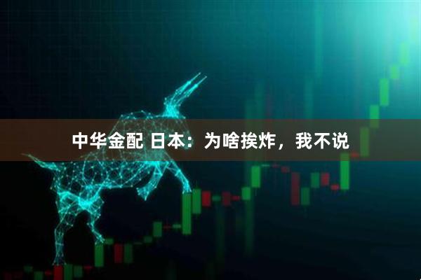 中华金配 日本：为啥挨炸，我不说