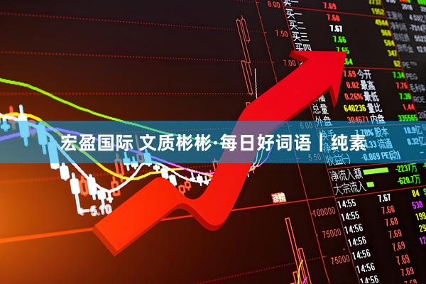 宏盈国际 文质彬彬·每日好词语｜纯素